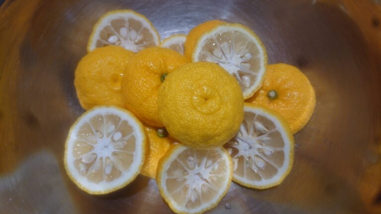 【簡単なのに絶品！】自家製柚子茶の作り方とレシピ。